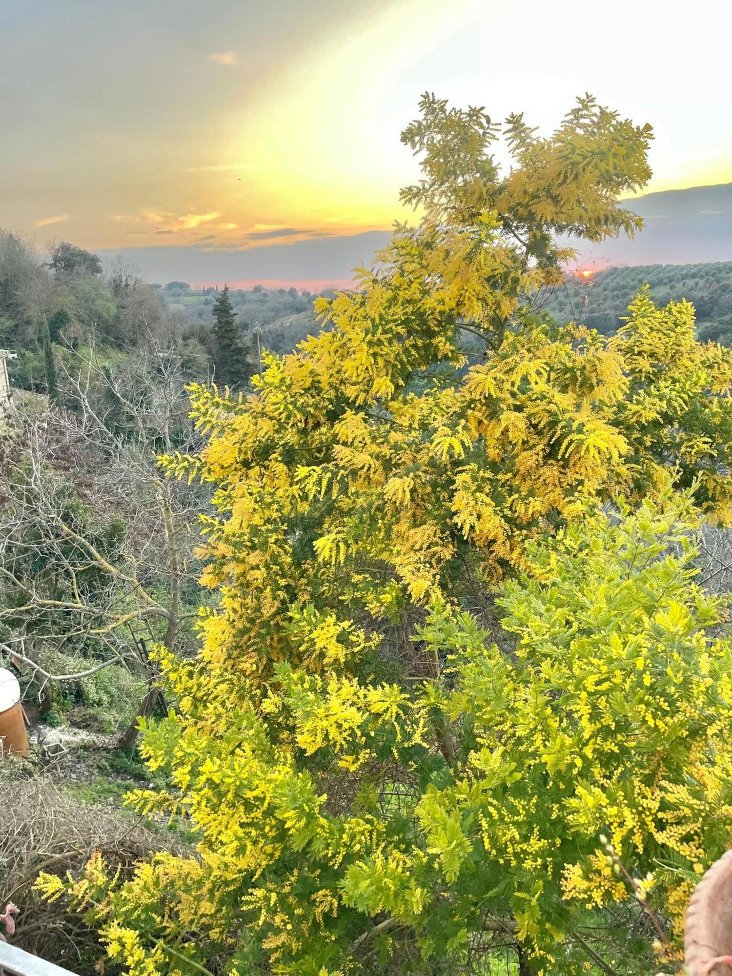 Ghigo La Locanda Di Torquato Montorgiali Dış mekan fotoğraf